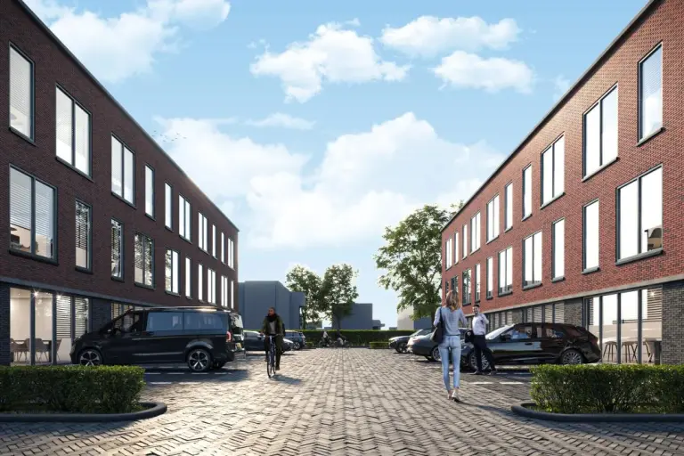 Kraaiheide - afbeelding 4