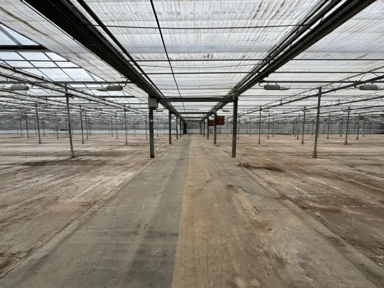 Van 't Hoffweg 4 - afbeelding 5